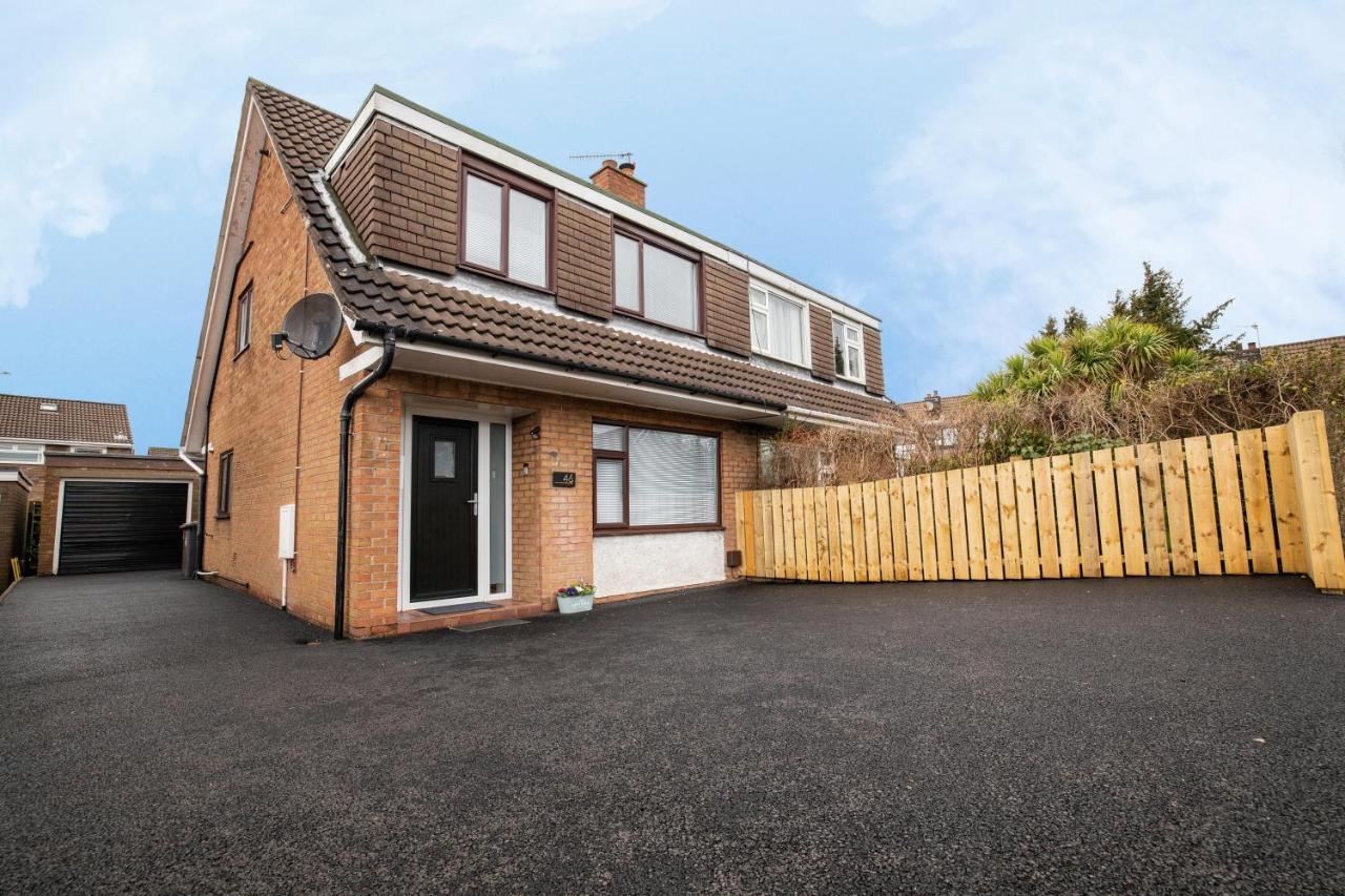 Elegant Home Mod Kitchen, Fast Wi-Fi, Free Parking Carrickfergus Exteriör bild