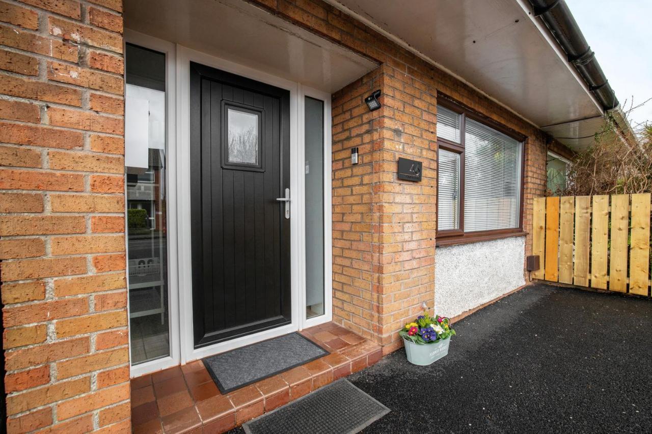Elegant Home Mod Kitchen, Fast Wi-Fi, Free Parking Carrickfergus Exteriör bild